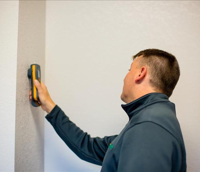 Worker with moisture meter on a wall in Lakeland, FL