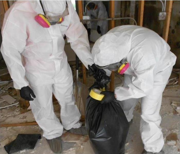 Mold specialists with protective gear removing debris
